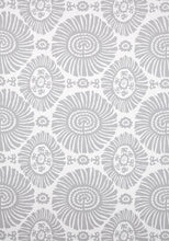 Load image into Gallery viewer, Solis